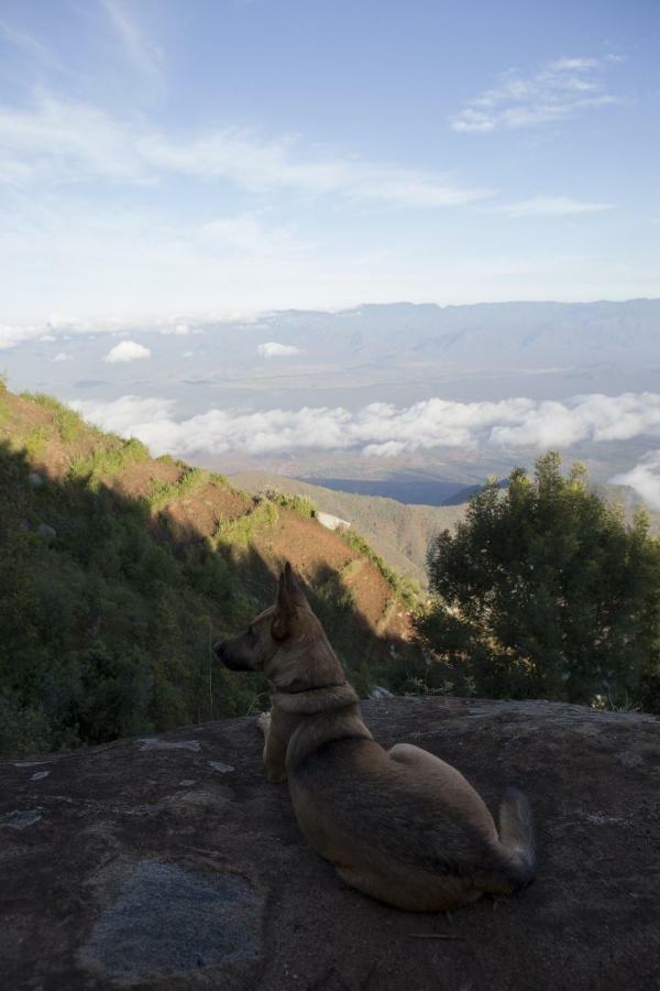 Mambo View Point Villa Ndungu Luaran gambar